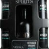 Gansloser Vodka & Kingers Lemon Set 1,7 Liter