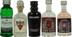Gin Mini Set - The Essential Ones 0,24 Liter