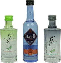 Gin Set Frankreich Mini