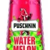 Puschkin Watermelon 0,7l